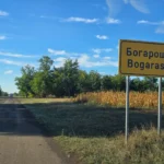 Bogaroš