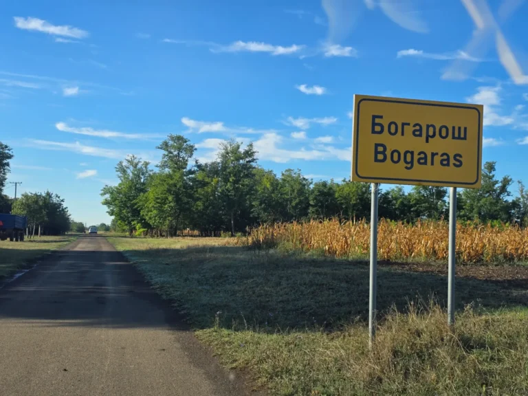 Bogaroš
