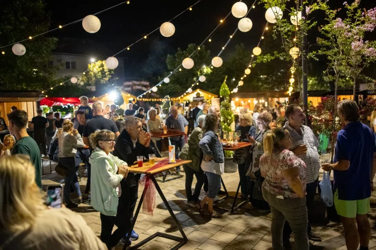 Dani opštine 2026 – Koncert Alena Islamovića, Bačka Topola – fotografija 2