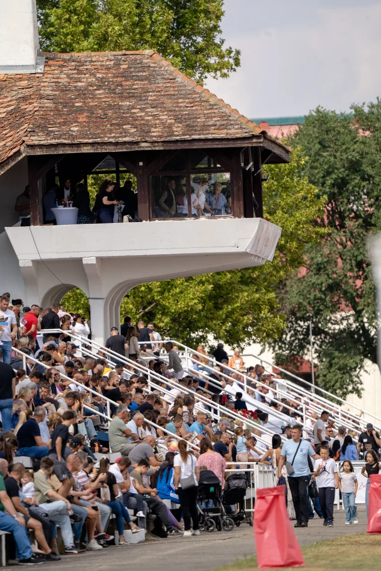 Jesenje zobnatičke igre 2026, Bačka Topola – fotografija 385