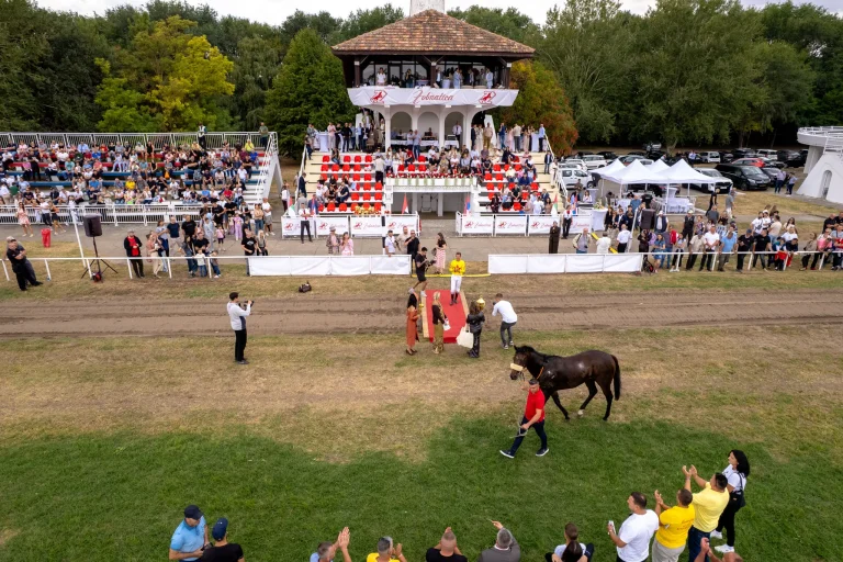 Jesenje zobnatičke igre 2026, Bačka Topola – fotografija 578