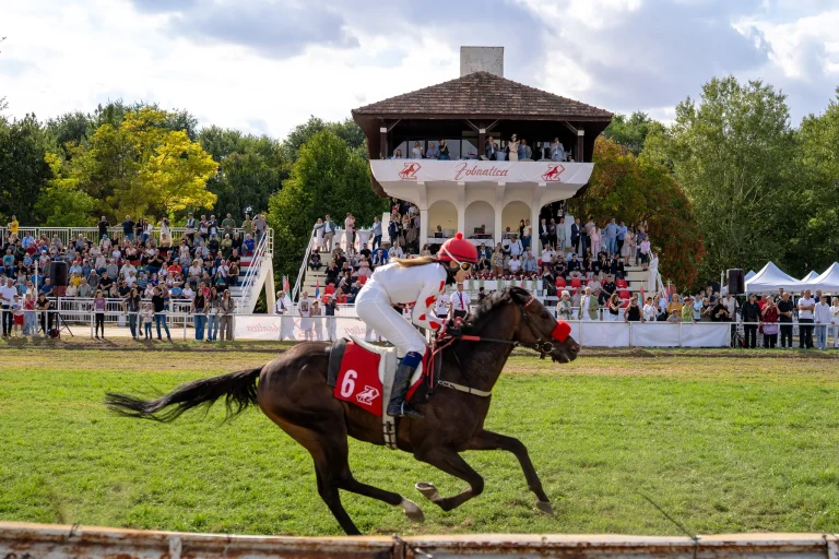 Jesenje zobnatičke igre 2026, Bačka Topola – fotografija 668